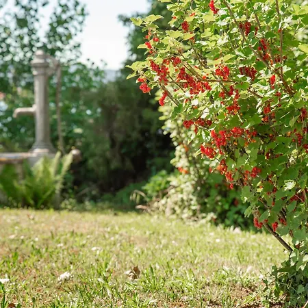 Daire Lakeside - Seeufer Allensbach